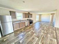 2023 Skyline Sugarcreek Express  Home