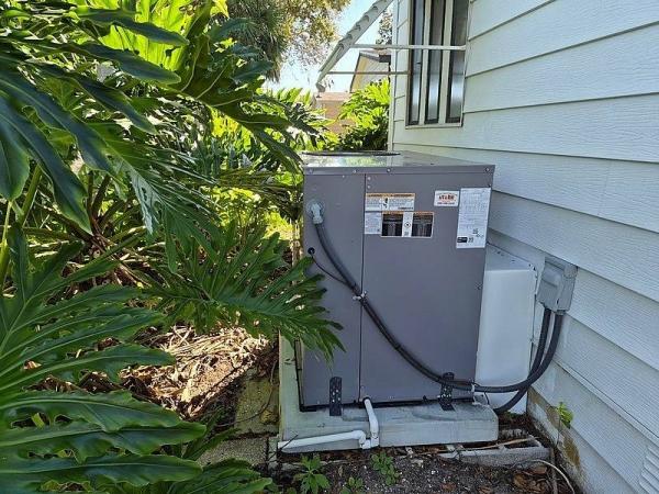 1990 PALM   Home