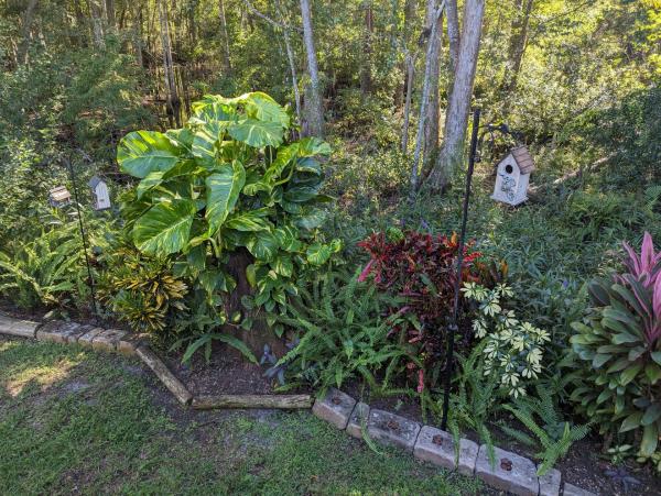 2001 Homes of Merit Mobile Home