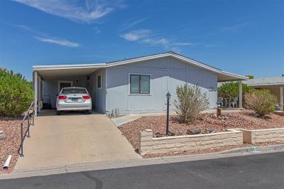Mobile Home at 1714 Chris Ave. Henderson, NV 89074