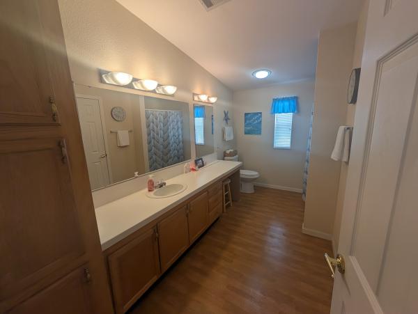 1999 Skyline Mobile Home