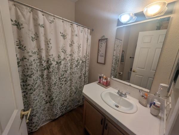 1999 Skyline Mobile Home