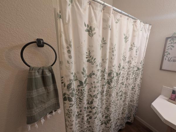 1999 Skyline Mobile Home