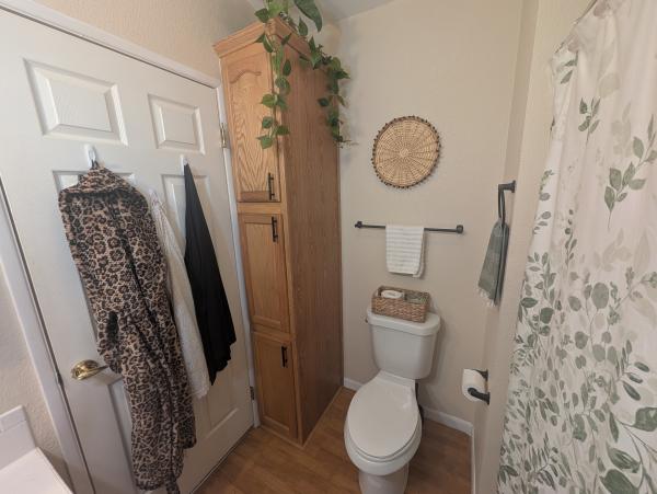 1999 Skyline Mobile Home