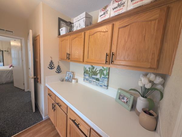 1999 Skyline Mobile Home