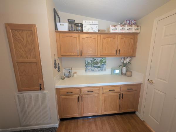 1999 Skyline Mobile Home