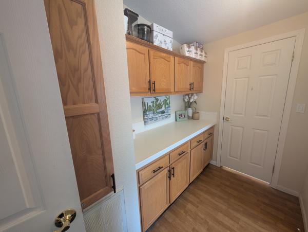 1999 Skyline Mobile Home