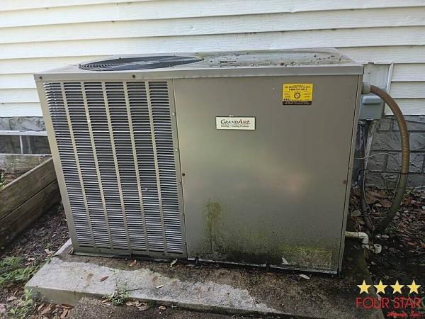 1981 SUNC  Home