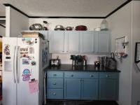 2001 Skyline Manufactured Home