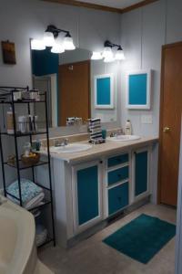 2001 Skyline Manufactured Home