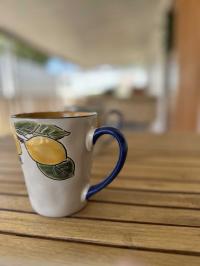 1971 Casa Vegas Mobile Home