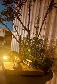 1971 Casa Vegas Mobile Home