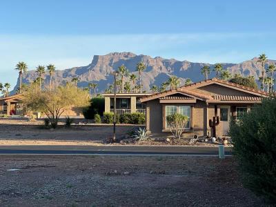 Photo 4 of 29 of home located at 7373 E Us Hwy 60 #411 Gold Canyon, AZ 85118