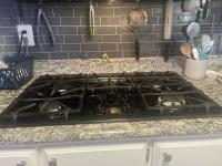 1980 Skyline Mobile Home