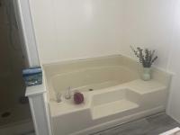 1980 Skyline Mobile Home