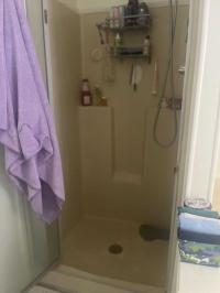 1980 Skyline Mobile Home