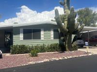 1980 Skyline Mobile Home