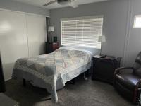 1980 Skyline Mobile Home