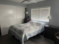 1980 Skyline Mobile Home