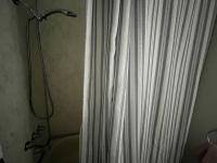 1980 Skyline Mobile Home