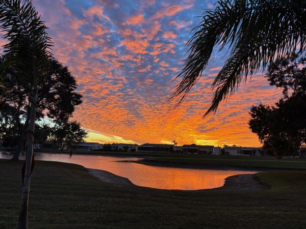 2019 Palm Harbor PHH340FL1821392ABC Mobile Home