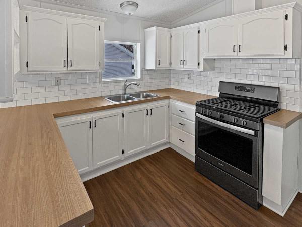 Photo 1 of 2 of home located at 253 E Scarlet Oak Drive Coopersville, MI 49404