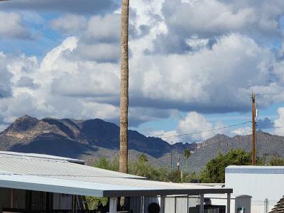 Photo 2 of 18 of home located at 929 N. Delaware Drive, Lot 28 Apache Junction, AZ 85120