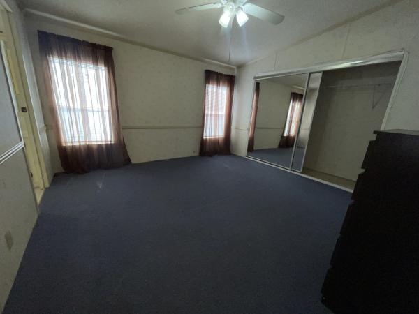 1991 Skyline Mobile Home