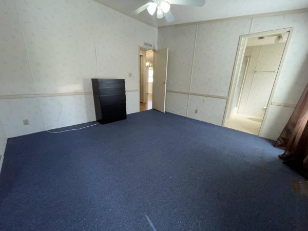 1991 Skyline Mobile Home