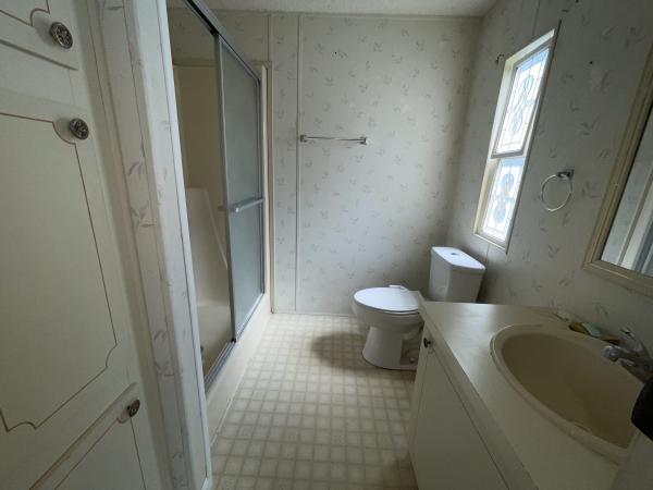 1991 Skyline Mobile Home