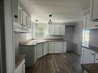 1981 SKYLINE Manufactured Home