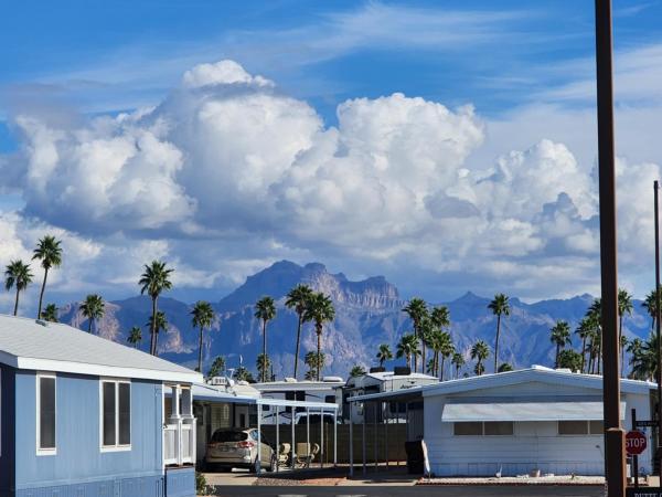 2023 CAVCO 110VP24502A (24X50) Mobile Home