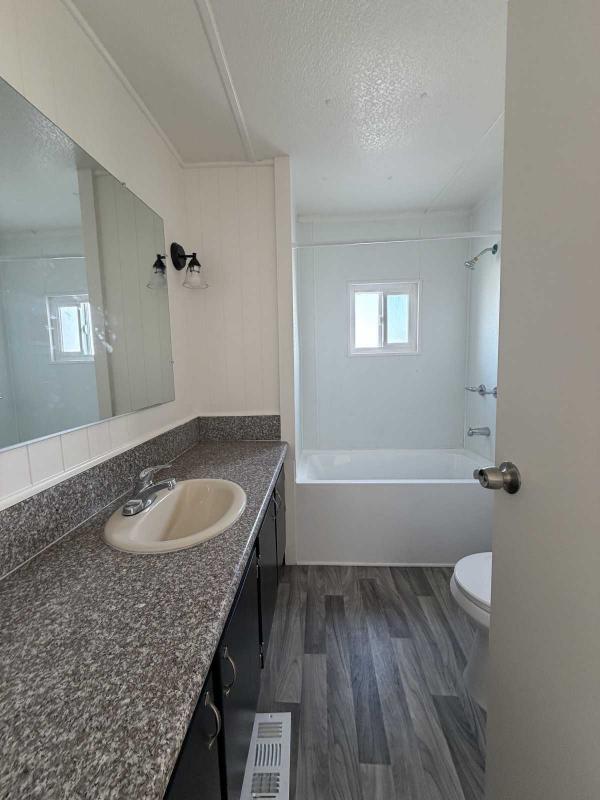 1967 NEW MOON  NEW MOON  Mobile Home