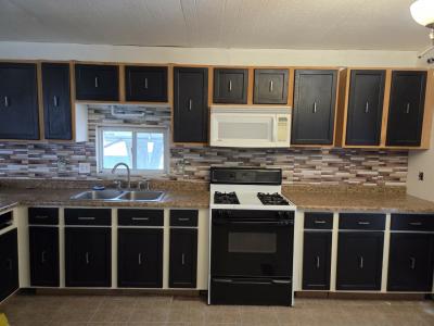 Mobile Home at 113 Desander Dr. Lansing, MI 48906