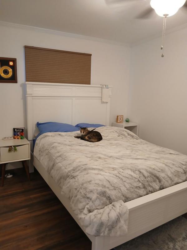 2005 Champion RAP1652H21083 Mobile Home