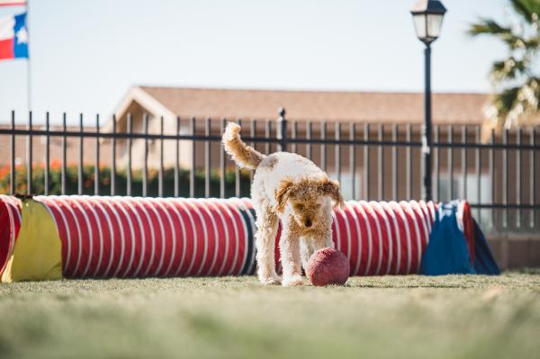 2011 CAVCO Mobile Home