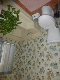 1980 Cavco Manufactured Home