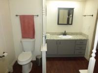 1979 Skyline Manufactured Home