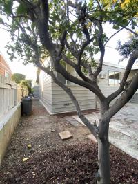 1977 SKYLINE RAMADA Manufactured Home