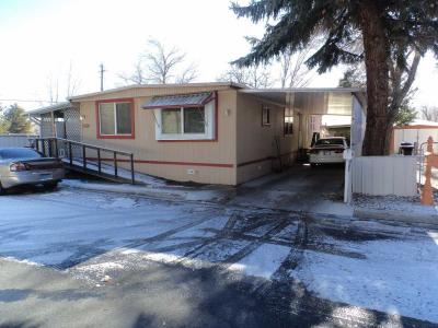 Mobile Home at 327 A Street Carson City, NV 89706