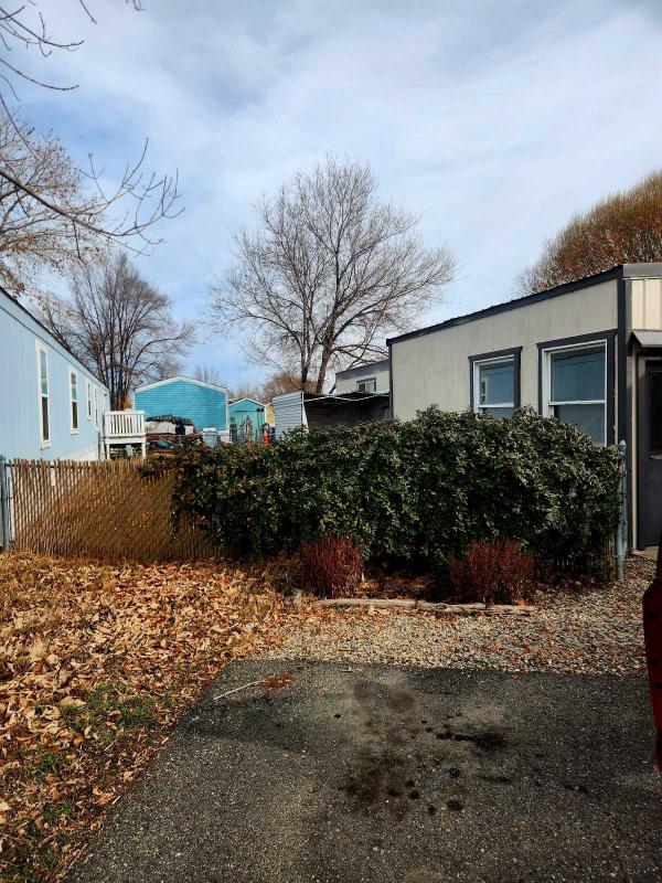 1977 Skyline Mobile Home For Sale