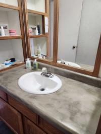 1977 Skyline Mobile Home