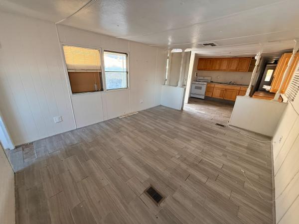 1972 Peerless Mobile Home