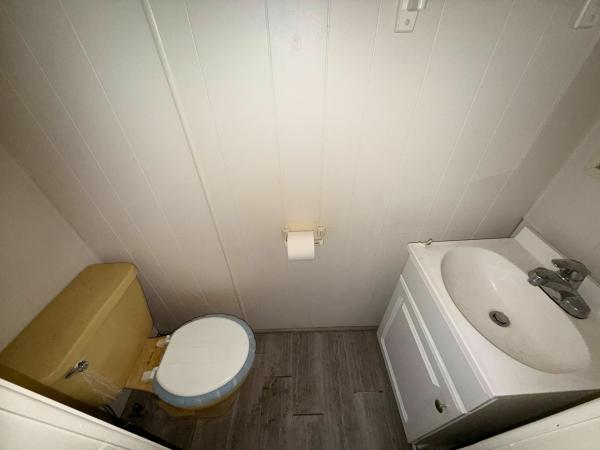 1972 Peerless Mobile Home