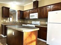 2009 Skyline 20 Bir  Home