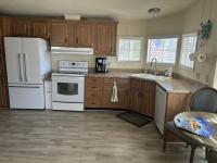 1992 Skyline Mobile Home