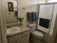 1992 Skyline Mobile Home