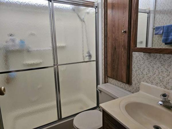 1985 Skyline Manufactured Home