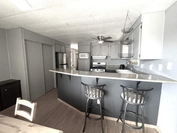 1976 Skyline Manufactured Home