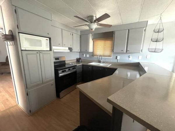 1976 Skyline Manufactured Home